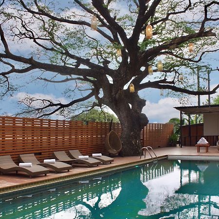 Bamboori Boutique Resort Чіангмай Екстер'єр фото